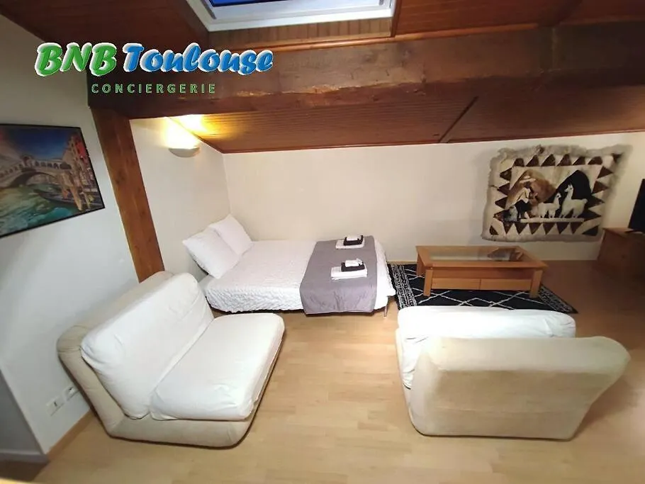 ► Bnb Toulouse ► Le Charmant Balmanais • Clim • Garage • 24/7