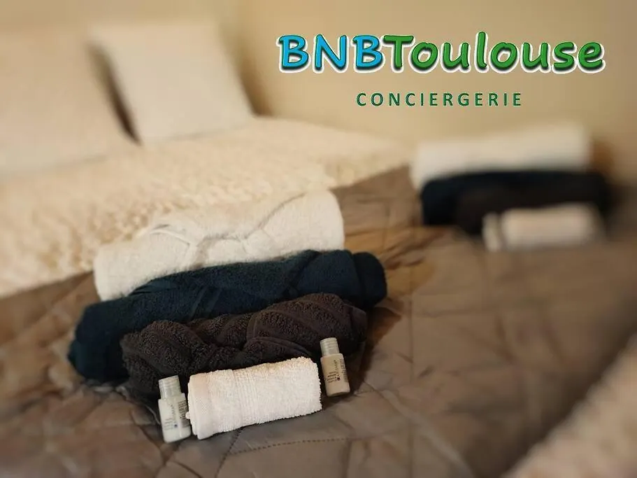 ► Bnb Toulouse ► Le Charmant Balmanais • Clim • Garage • 24/7